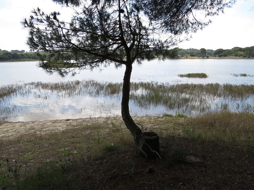Mass Image Compressor Compressed this image. https://sourceforge.net/projects/icompress/ with Quality:80