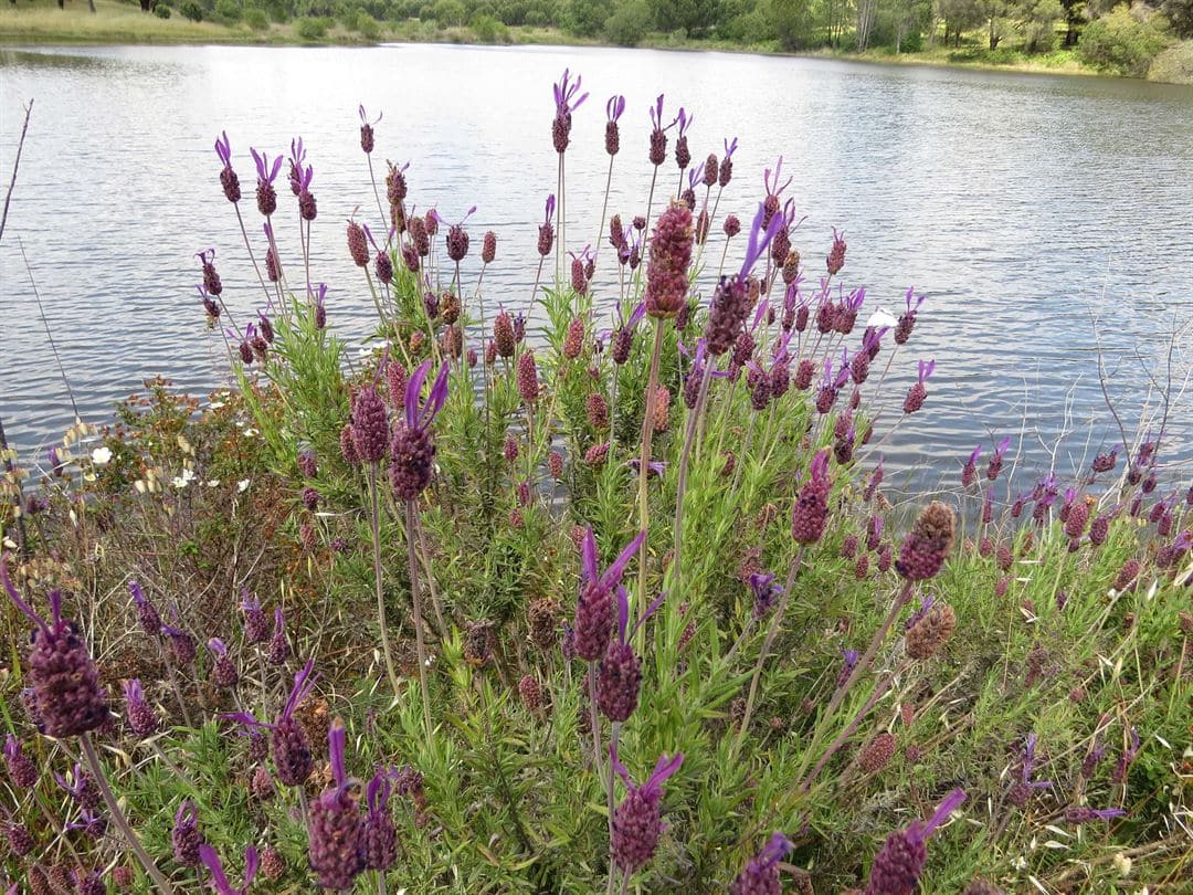Mass Image Compressor Compressed this image. https://sourceforge.net/projects/icompress/ with Quality:80