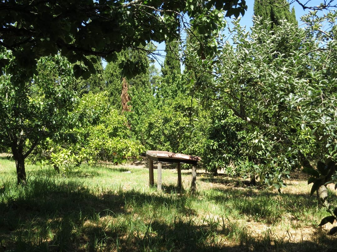 Mass Image Compressor Compressed this image. https://sourceforge.net/projects/icompress/ with Quality:81